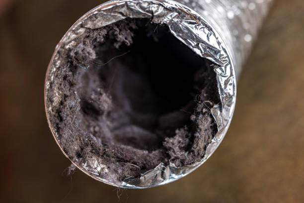 Best Commercial HVAC Duct Cleaning  in Palmer Ranch, FL