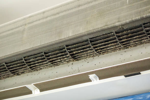  Palmer Ranch, FL Airduct Cleaning Pros